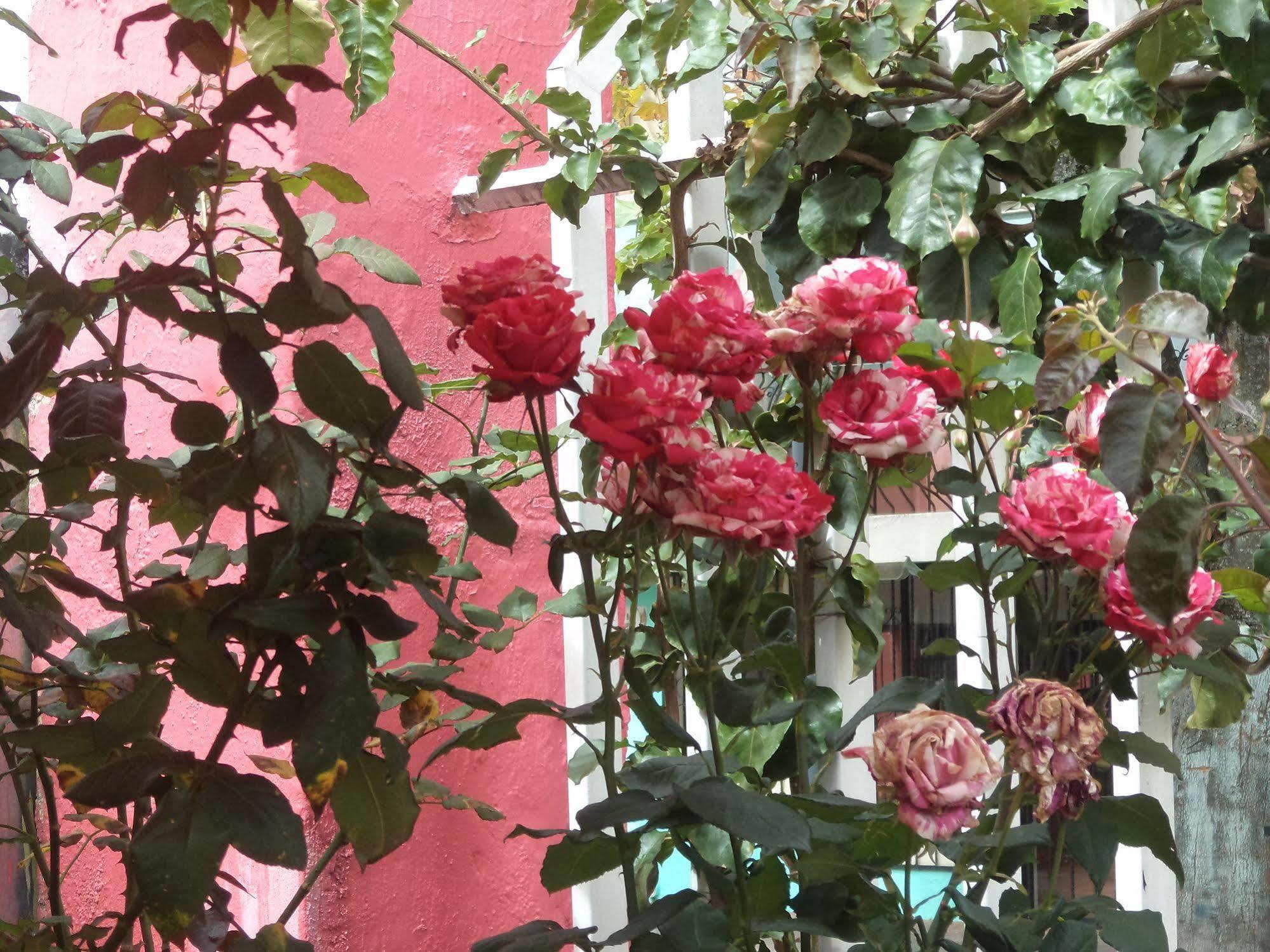 Hostal Imperial Quito Esterno foto